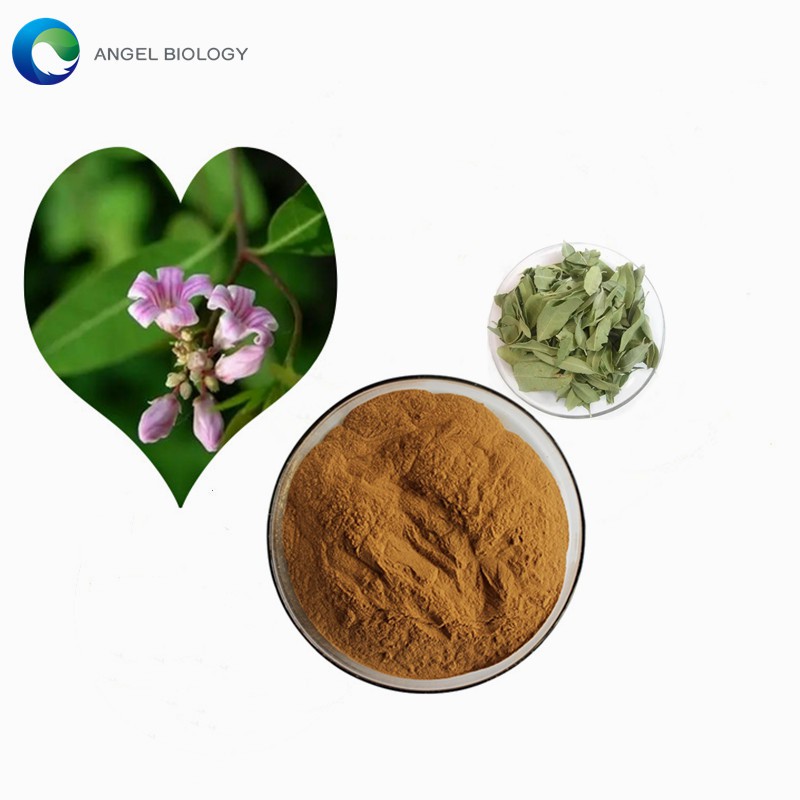 Folium Apocyni Veneti Extract Powder